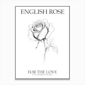 English Rose Black And White Line Drawing 9 Poster Canvas Print