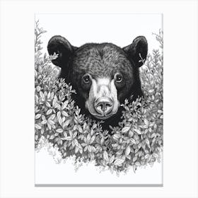 Malayan Sun Bear Hiding In Bushes Ink Illustration 4 Canvas Print