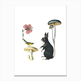 Rabbit Rabbit Canvas Print