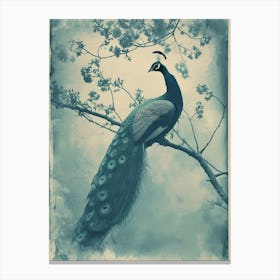Peacock In A Tree Vintage Cyanotype Inspired 2 Canvas Print