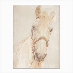 Neutral Vintage Horse Painting Rustic Farmhouse Magnolia Canvas Print