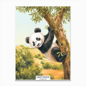 Giant Panda Climbing A Tree Poster 3 Canvas Print