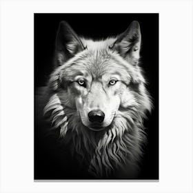Tundra Wolf Portrait Black And White 1 Canvas Print