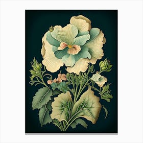 Primrose 2 Floral Botanical Vintage Poster Flower Canvas Print