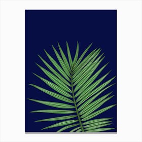 Palm Leaf On A Blue Background Canvas Print