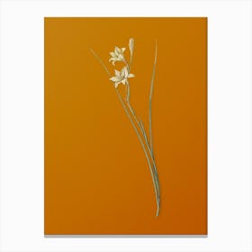 Vintage Gladiolus Botanical on Sunset Orange n.0402 Canvas Print