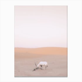 Desert Mammal Canvas Print