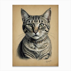 Portrait Of A Tabby Cat 1 Canvas Print