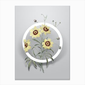 Vintage Coreopsis Elegans Minimalist Floral Geometric Circle on Soft Gray n.0435 Canvas Print