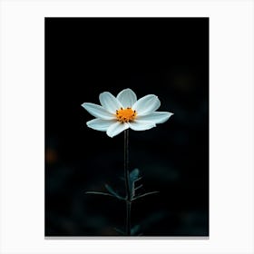 Single White Flower 2 Canvas Print