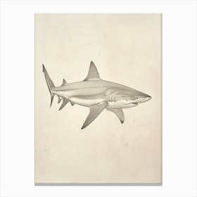 Carpet Shark Vintage Illustration 5 Canvas Print