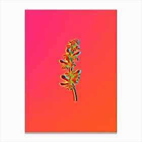 Neon Common Cytisus Botanical in Hot Pink and Electric Blue n.0566 Canvas Print