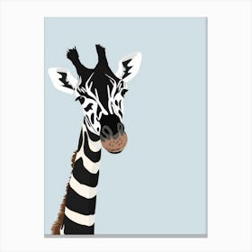 Zebra 28 Canvas Print