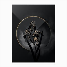 Shadowy Vintage Elder Scented Iris Botanical on Black with Gold n.0187 Canvas Print