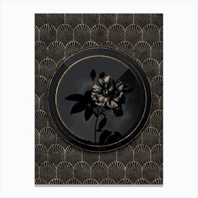 Shadowy Vintage Variegated French Rosebush Botanical on Black with Gold n.0032 Canvas Print