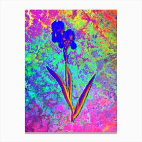 Tall Bearded Iris Botanical in Acid Neon Pink Green and Blue n.0072 Canvas Print