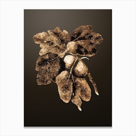 Gold Botanical Common Fig on Chocolate Brown n.2400 Canvas Print