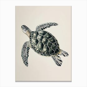 Vintage Minimalist Sea Turtle Painting 1 Canvas Print