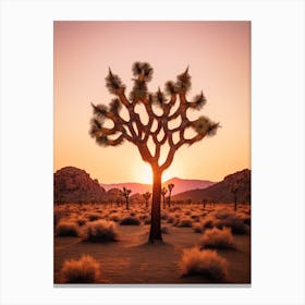  Photograph Of A Joshua Trees At Dusk In Desert 1 Canvas Print