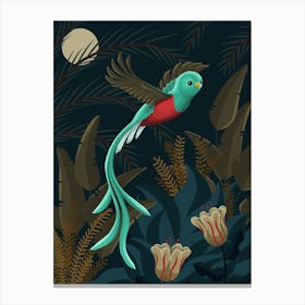 Sacred Quetzal Bird In The Jungle Canvas Print