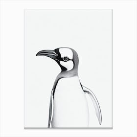 Penguin B&W Pencil Drawing 1 Bird Canvas Print