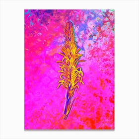 Pitcairnia Latifolia Botanical in Acid Neon Pink Green and Blue n.0070 Canvas Print