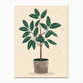 Money Tree Plant Minimalist Illustration 6 Canvas Print