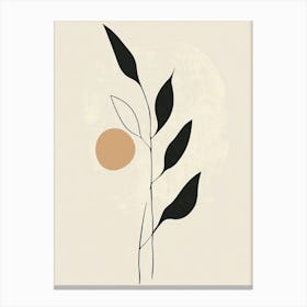 Leaf In The Sun Canvas Print