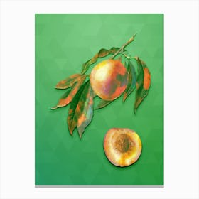 Vintage Peach Botanical Art on Classic Green n.0757 Canvas Print