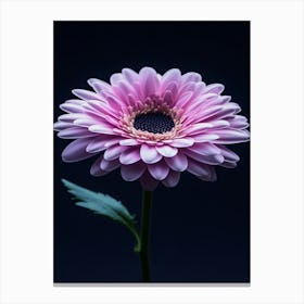 Pink Gerbera Flower 6 Canvas Print