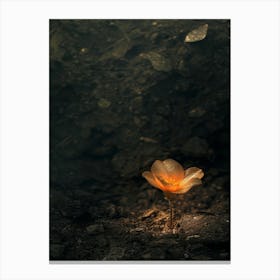 Flower In The Dark 50 Canvas Print