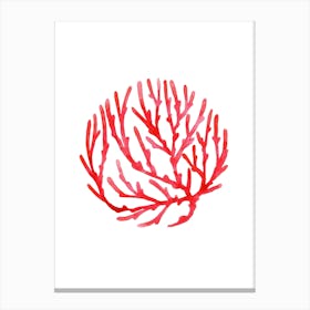 Red Coral 1 Canvas Print