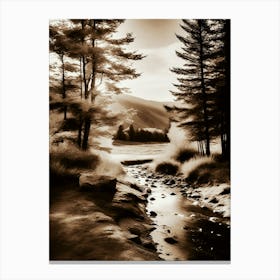 Sepia 9 Canvas Print