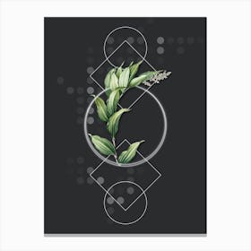 Vintage Treacleberry Botanical with Geometric Line Motif and Dot Pattern n.0105 Canvas Print