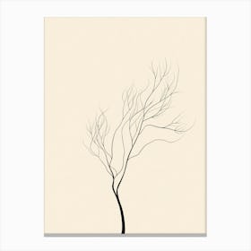 Bare Tree 3 Canvas Print