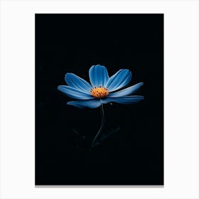 Blue Flower 2 Canvas Print