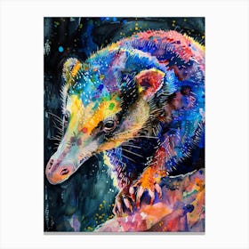 Anteater Colourful Watercolour 2 Canvas Print