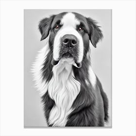 Newfoundland B&W Pencil dog Canvas Print