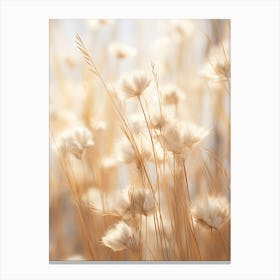 Boho Dried Flowers Flax Flower 3 Canvas Print