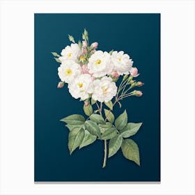 Vintage Noisette Roses Botanical Art on Teal Blue n.0363 Canvas Print