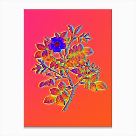Neon Malmedy Rose Botanical in Hot Pink and Electric Blue n.0403 Canvas Print