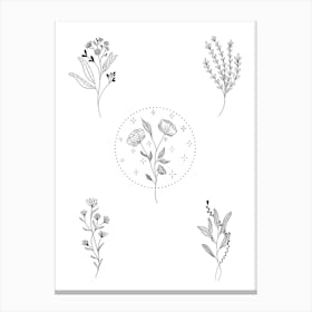 Botanical Magic Canvas Print