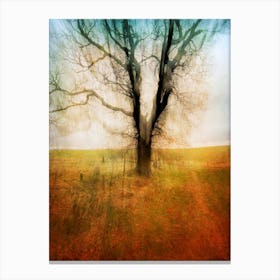 Branxton Moor Fields Canvas Print