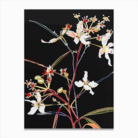 Neon Flowers On Black Babys Breath 10 Canvas Print