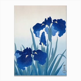 Blue Iris 1 Canvas Print