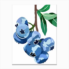 Blueberries Canvas Print