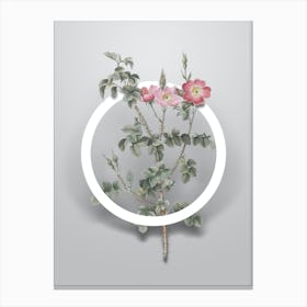 Vintage Prickly Sweetbriar Rose Minimalist Botanical Geometric Circle on Soft Gray n.0571 Canvas Print