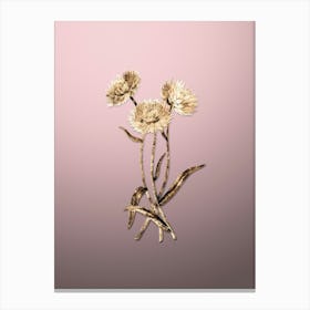 Gold Botanical Helichrysum Flower Branch on Rose Quartz n.2811 Canvas Print
