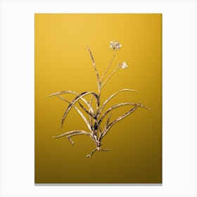 Gold Botanical Spiderwort on Mango Yellow n.1156 Canvas Print