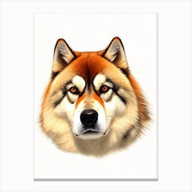 Alaskan Malamute Illustration dog Canvas Print